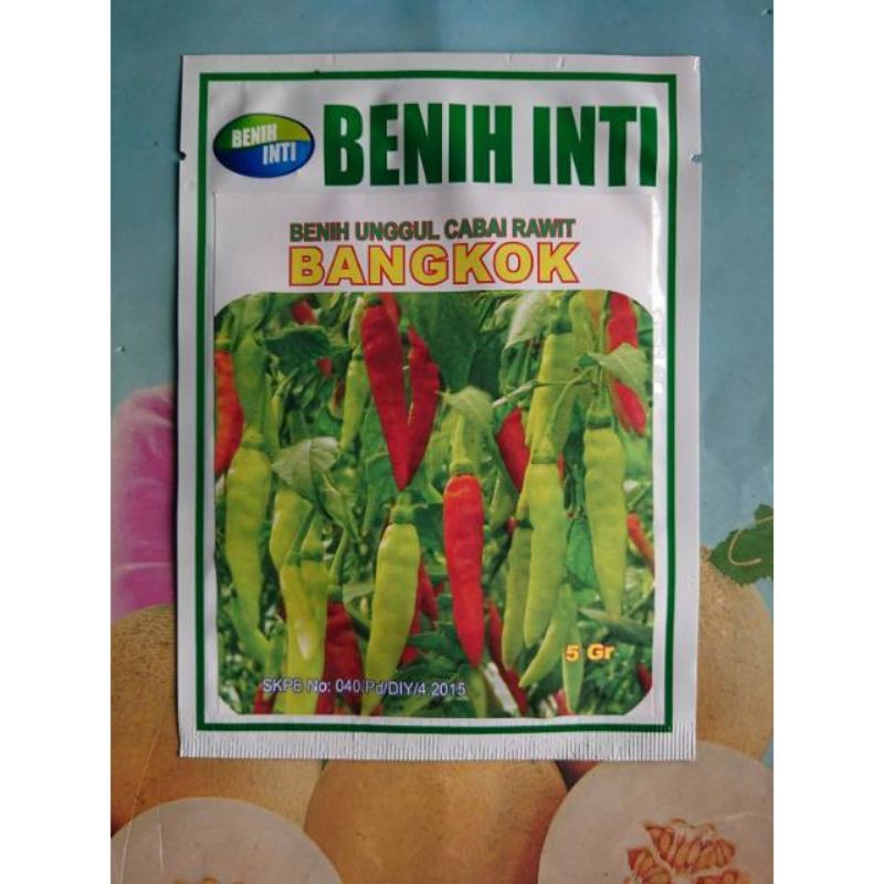 Benih Biji Bibit Cabe Rawit Putih BANGKOK 5 gram