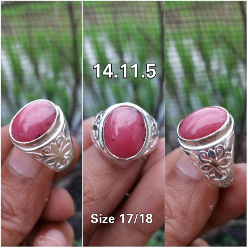 Red borneo kalimantan selatan