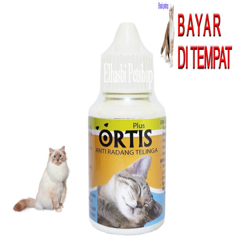 obat kucing tetes telinga congean berair ortis