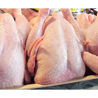 

Ayam Fresh Uk. 1.3 Kg Bersih tanpa Kepala, Ceker, dan Jeroan