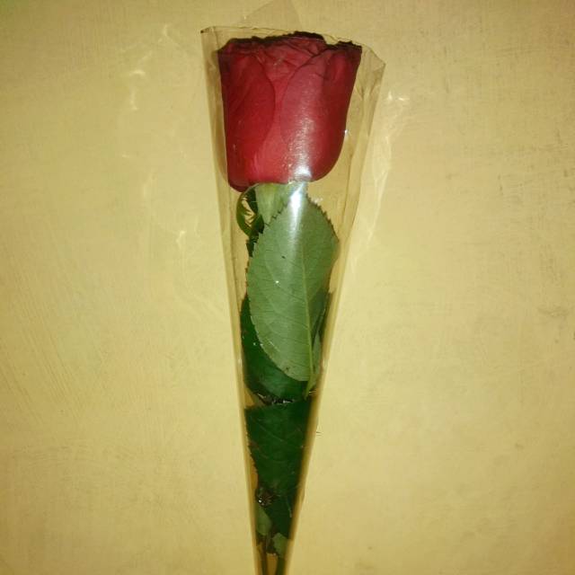 fitriiiiiiiiiiiiiiiiiiiii