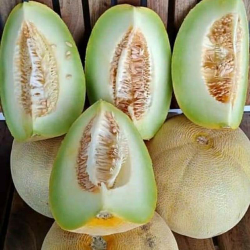 

Melon