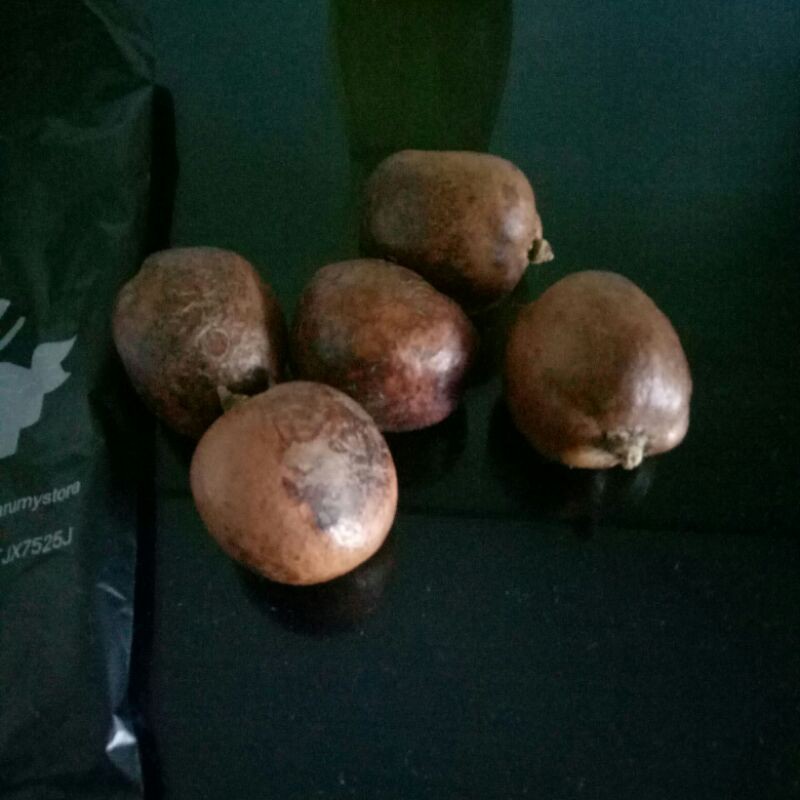 

Zuriat Mesir buah keturunan