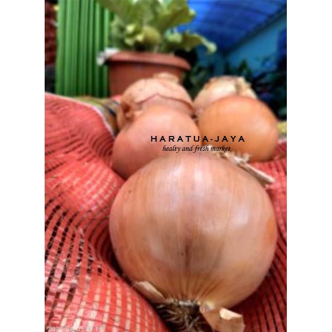 

bawang bombay 250 gram