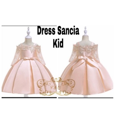 Kostum Dress Princess Anak 3 4 5 Tahun Gaun Cantik Dress Ultah Baju Pesta Ulang tahun Anak Lucu Keki