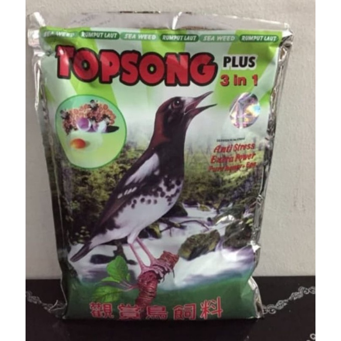 

topsong