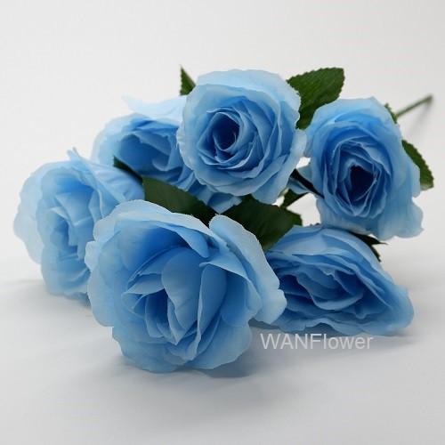 Wanflower Bunga Mawar Jepang X7 Biru Muda Shopee Indonesia