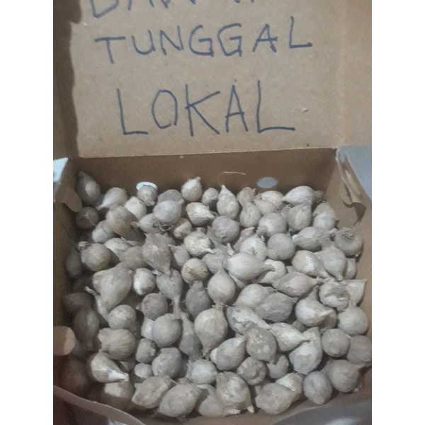 

bawang tunggal asli lokal 1kg
