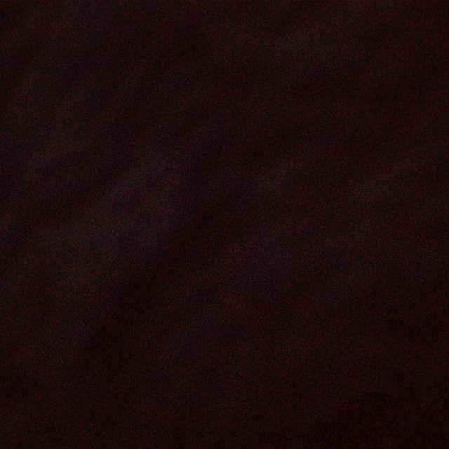 Daun Bidara Arab Ruqiah