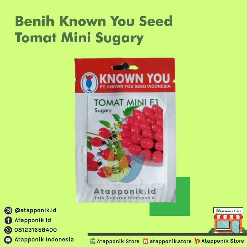 benih bibit tomat cherry mini sugary