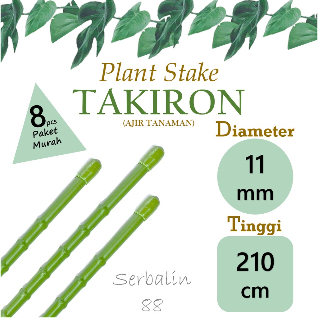 AJIR TANAMAN TAKIRON 11 MM X 210 CM (8 PCS) PENYANGGA TANAMAN