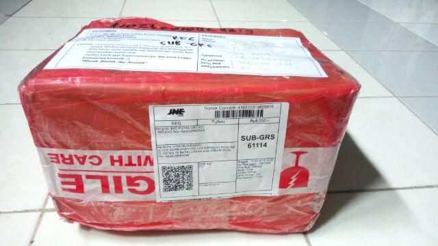 Pot Tempel Nkt Cantik 1708