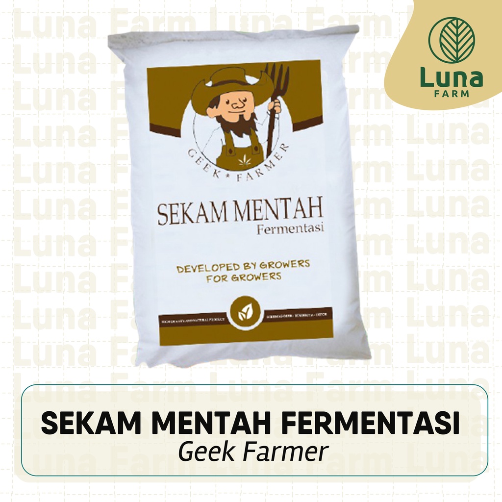 Sekam Mentah Fermentasi Media Tanam Sekam Geek Farmer