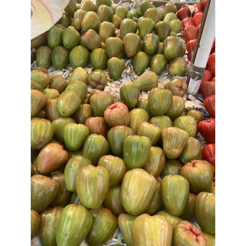 Jambu Air Cincalo 500gram