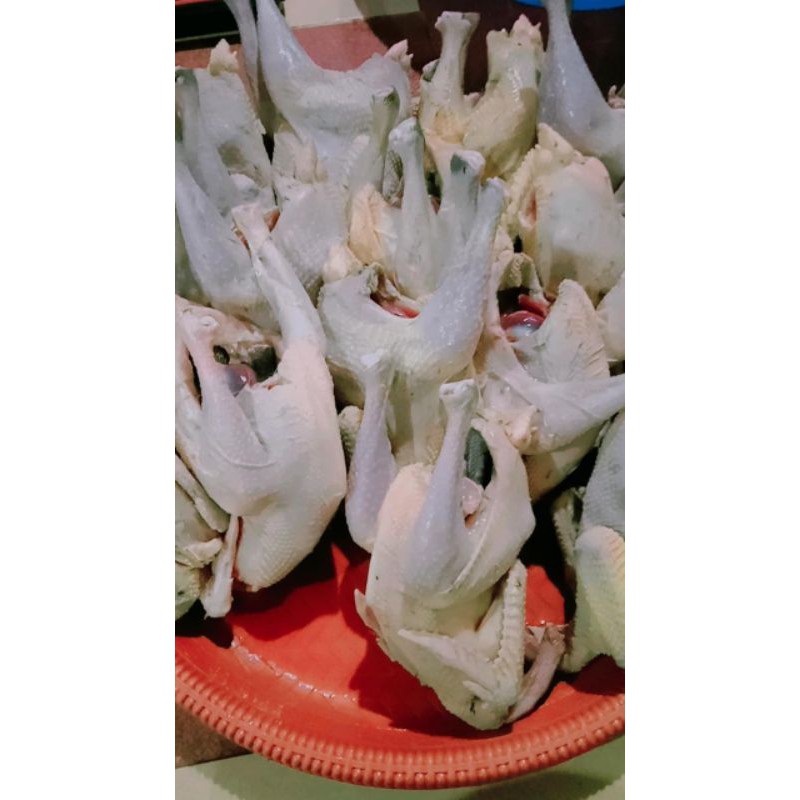 

Ayam Kampung Super Segar