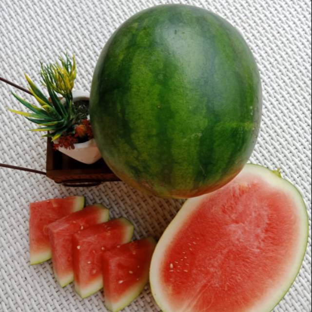 

Buah Semangka Non Biji Manis Segar