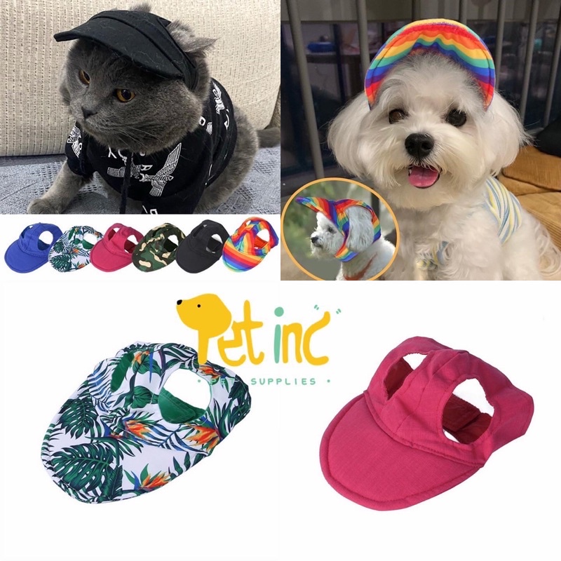 Pet summer hat