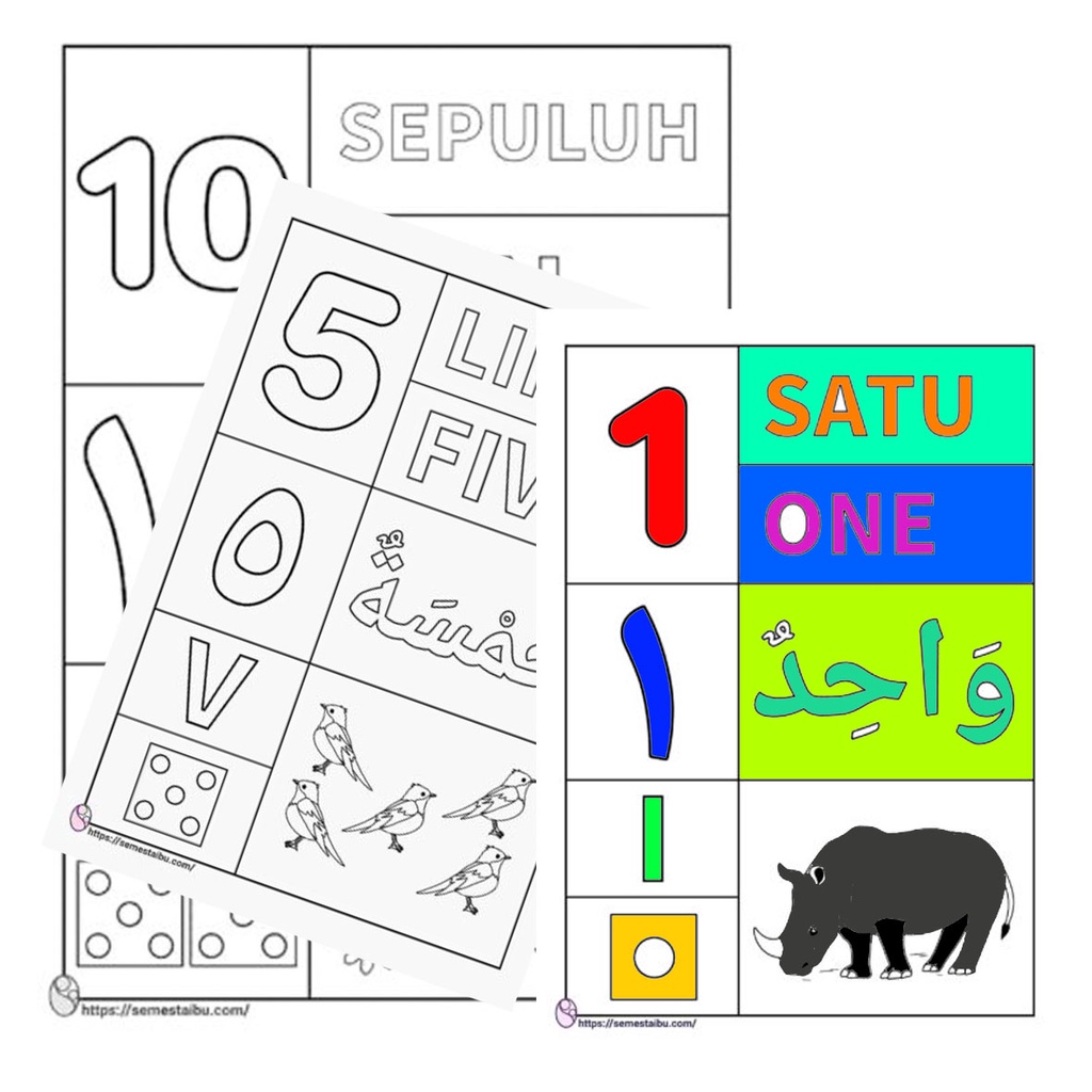 

(10 Lembar) Gambar Sketsa Mewarnai ~ ANGKA 1-10 Arab Inggris Romawi / Seketsa Lukis / Drawing Sketch / Menggambar A4 (Buka Buku) ANAK TK PAUD