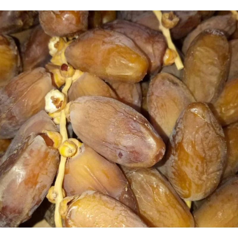 

KURMA PALM FRUTT 500 g 1pcs / PALM FRUTT TANGKAI / KURMA TANGKAI / KURMA MURAH