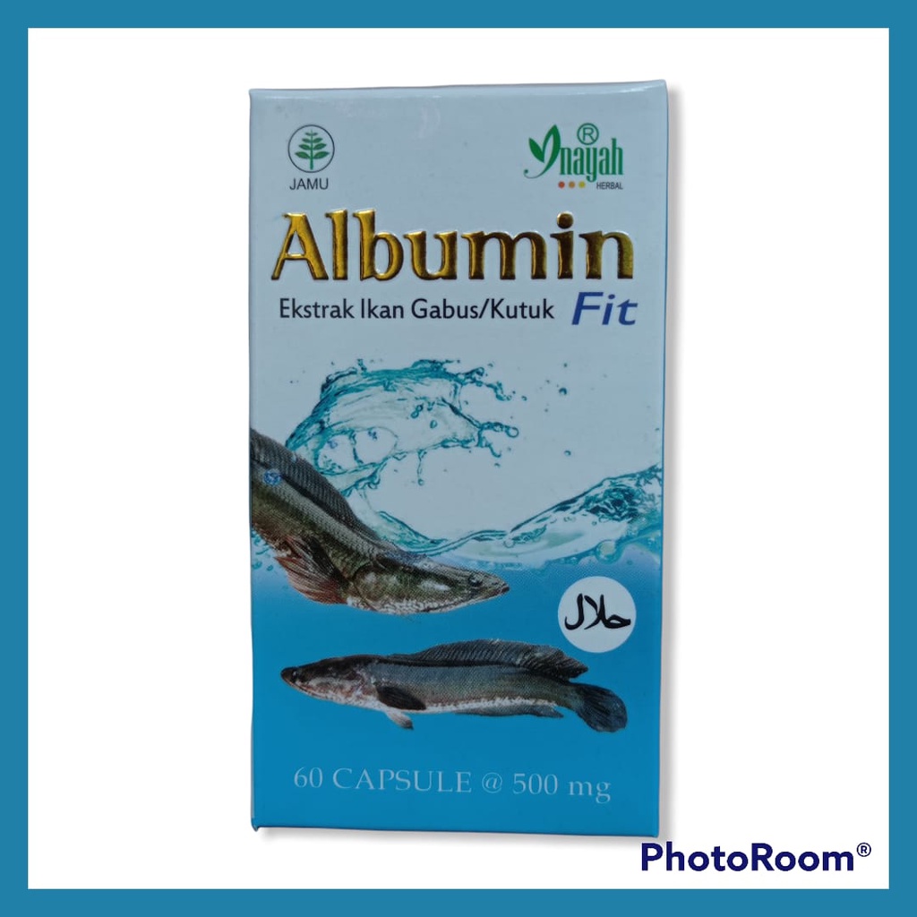 Albumin Fit Ekstrak Ikan Gabus/kutuk, Albumin Ikan gabus, Kapsul Albumin, Albumin Pro, Mempercepat P