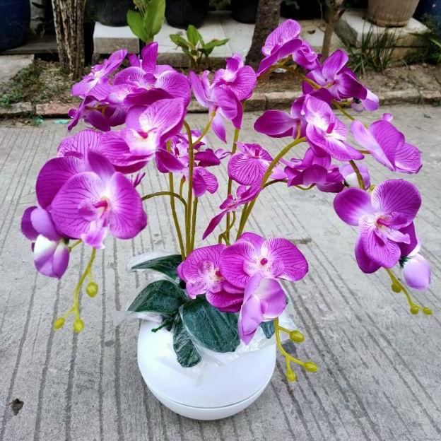 BUNGA ANGGREK LATEX JUMBO / TANAMAN ANGGREK ARTIFICIAL / BUNGA ANGGREK