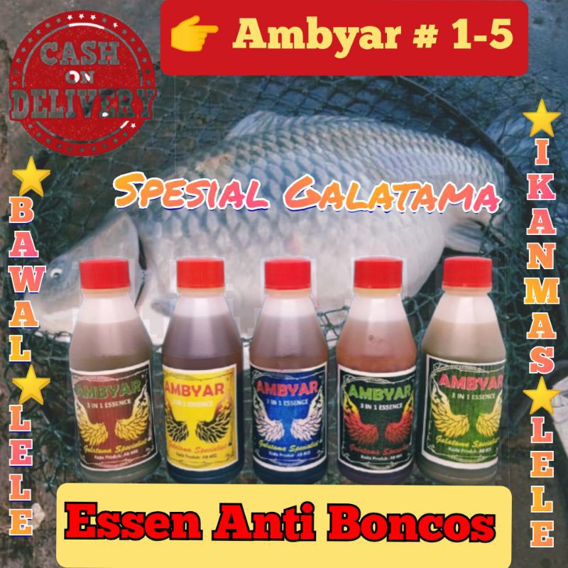 

EssenAmbyar