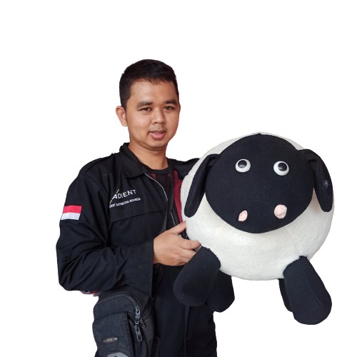 boneka kambing DOMBA Saun the sip jumbo murah