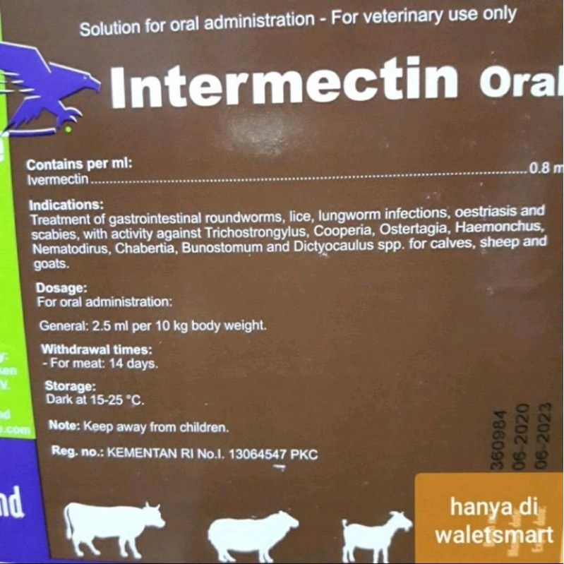 Intermectin Oral 10 Ml Obat Kutu Gudik Cacing Scabies Kucing Anjing Kelinci