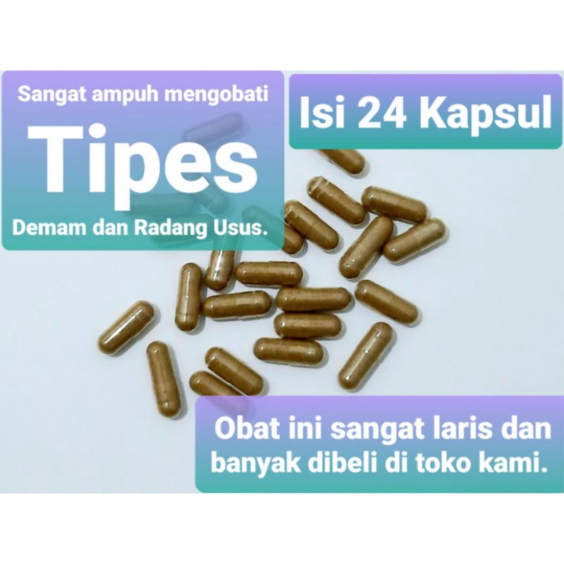 KAPSUL CACING TANAH ASLI HERBAL- obat tipes dan demam manjur