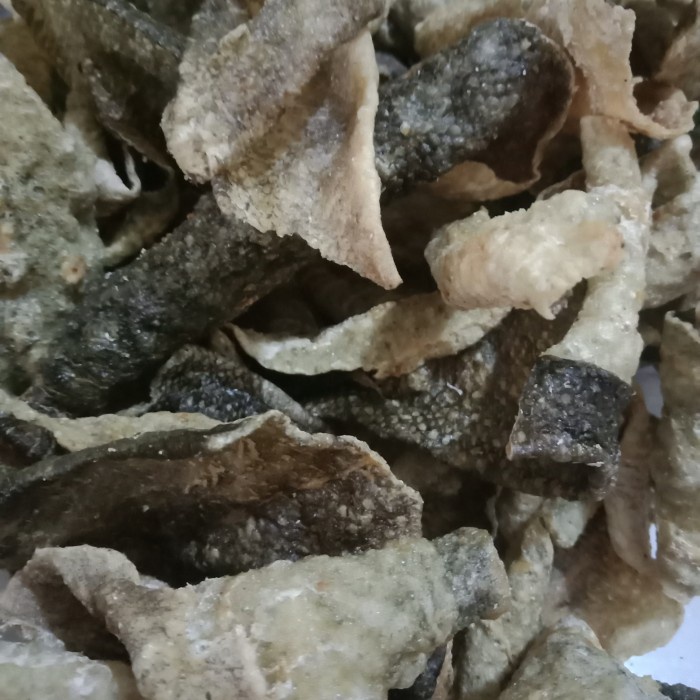 

keripik kulit ikan laut 100 gr keto rambak fish skin ketogenic kerupuk