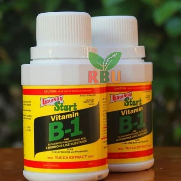 Vitamin B1 tanaman ASLI