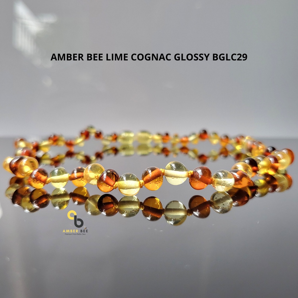 Kalung Anak Amber Premium Glossy Lime Cognac BGLC29 By Amber Bee