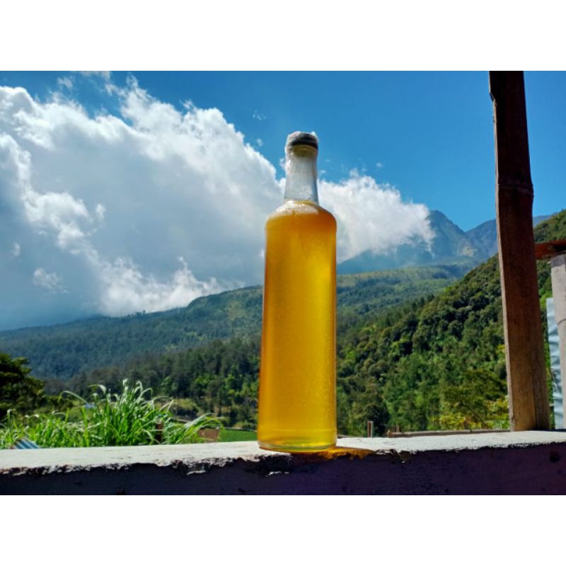 

MADU KUNING HUTAN LIAR BUKAN MADU TERNAK...!