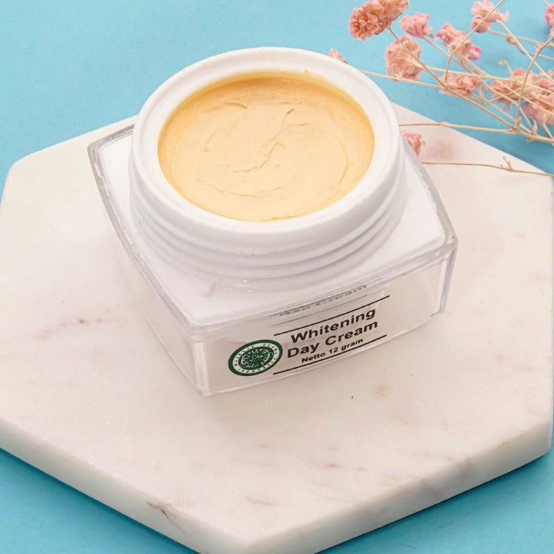 Day Cream MS Glow Original 100%