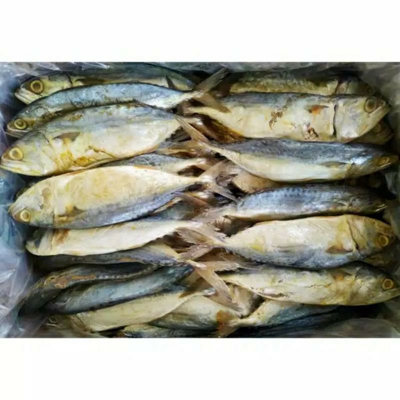 Ikan Asin Peda Putih / Berat 500 Gram