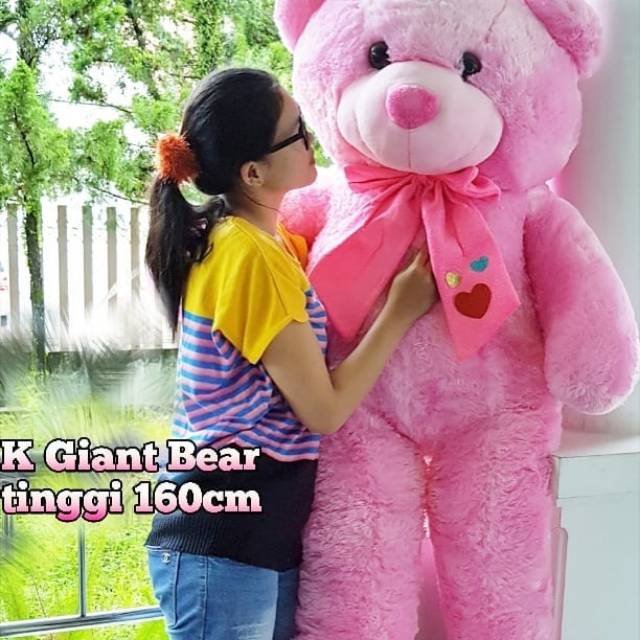 Boneka besar K Giant bear 160cm Pink