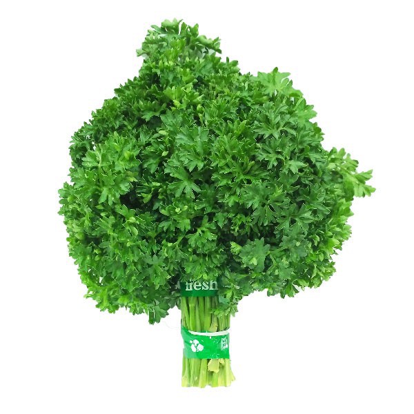 

Parsley Ikat