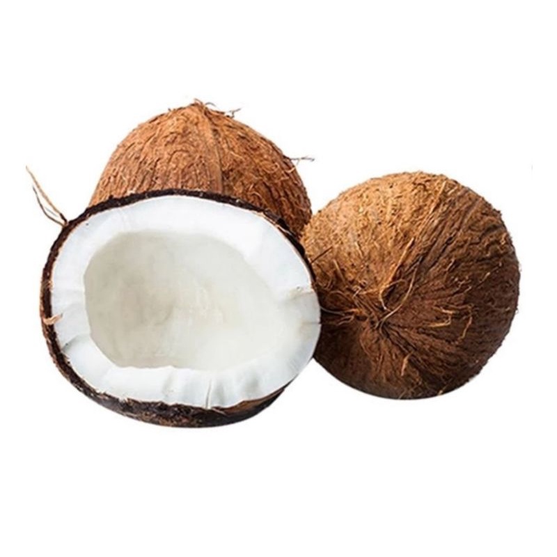 

Kelapa Tua
