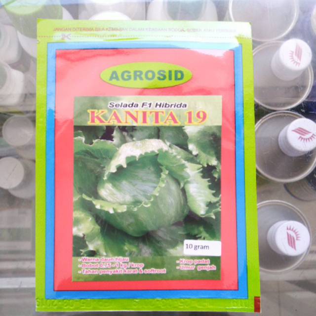 10g Benih Selada Krop KANITA 19 Bibit Lettuce Head Hibrida Agrosid Iceberg