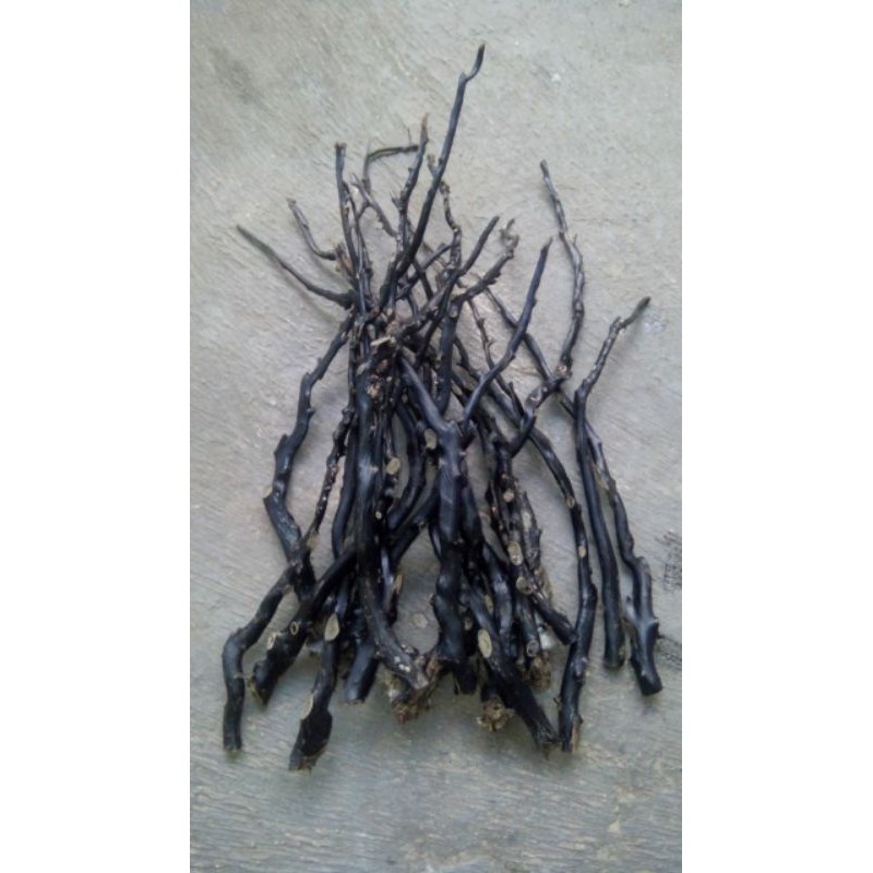 bahan gelang akar bahar hitam