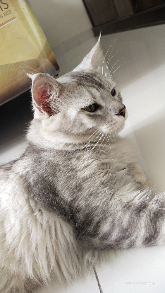 Big Sale/ Ikatan Cinta Gamis Susun Gamis Batik Gamis Wanita Gamis Lagi Viral