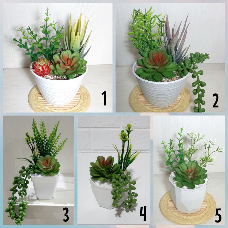 Sukulen Kaktus Artificial / kaktus plastik / kaktus palsu