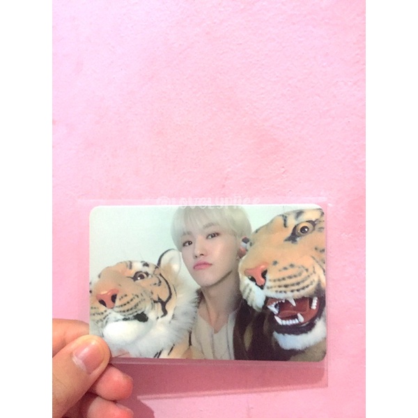 pc hoshi sg20 @lovelypiiee