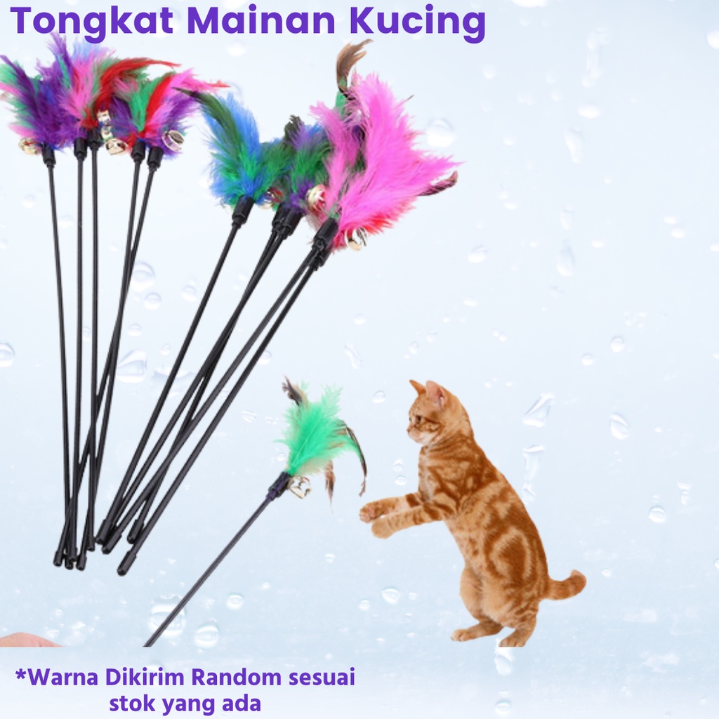 Paket Makanan Kucing kitten murah / Makanan Kucing kecil