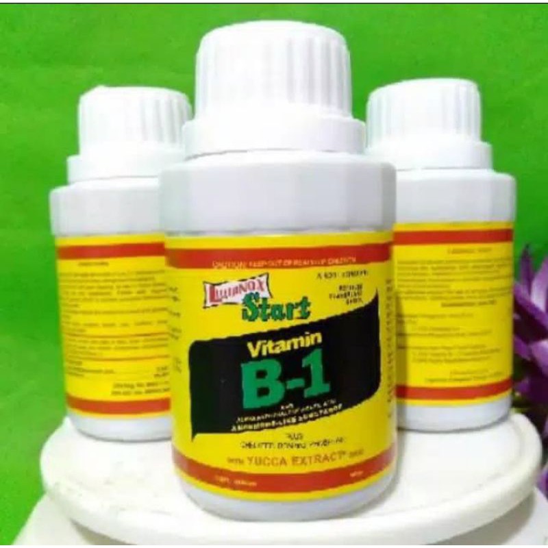 vitamin tanaman B-1