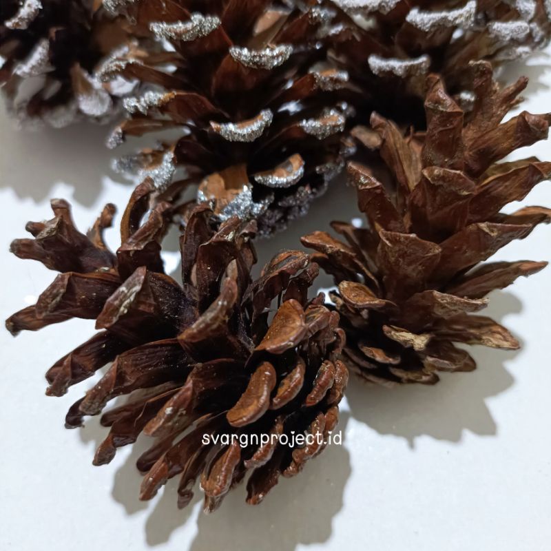 BIJI PINUS / PINUS DEKORASI / TAMBAHAN HIASAN DEKORASI PINUS / POHON BUAH DAUN PINUS / PINUS SALJU G