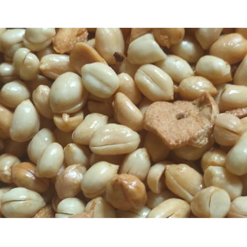 

KACANG BAWANG GURiH ORIGINAL 1 Kg (SUMBA)