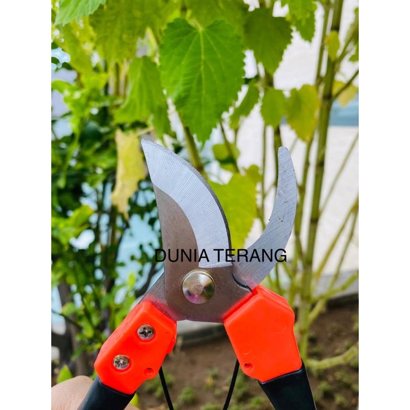 Gunting Dahan GLX Tiger 8&quot; - Stick Ranting Bunga Tanaman Kebun Pruning Shear GALAXY 8 in