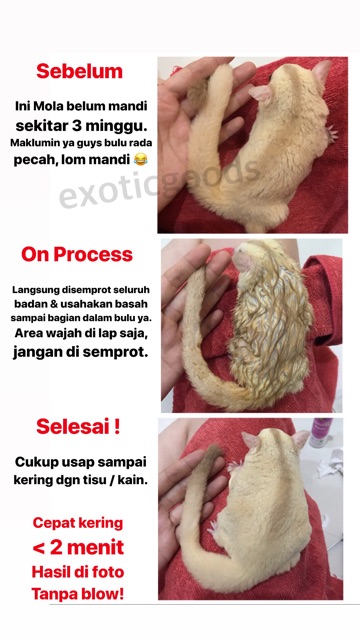 QUICKEN KLEEN 100ml SPRAY PEMBERSIH SUGAR GLIDER PEMBERSIH HEWAN PEMBERSIH HAMSTER KELINCI CHINCILA