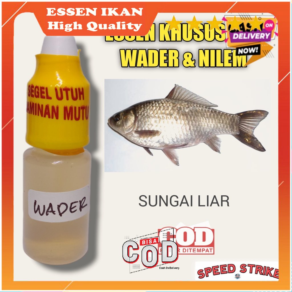 COD UMPAN IKAN Essen Ikan Wader Dan Nilem Sungai Liar Tebraik